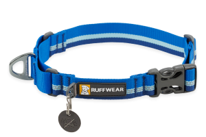 Web Reaction Martingale Dog Collar With Buckle