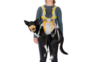 BackTrak Dog Evacuation Kit