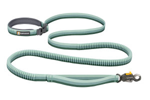 Roamer Lock Bungee Dog Leash