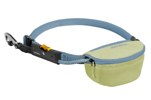 Hitch Hiker Leash